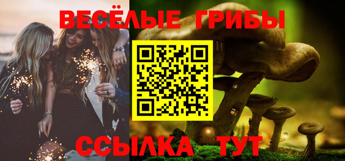 Галлюциногенные грибы мицелий Лесосибирск